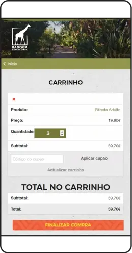 E Commerce Badoca 1