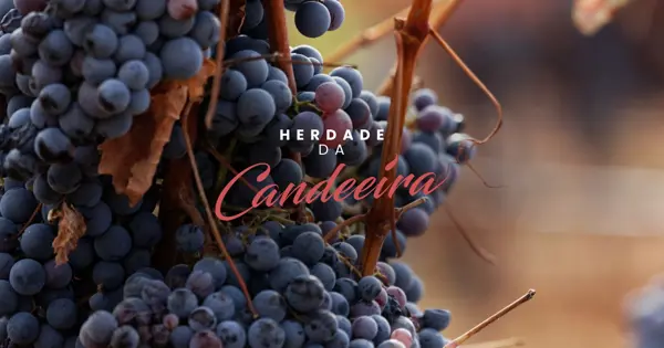 Herdade da Candeeira